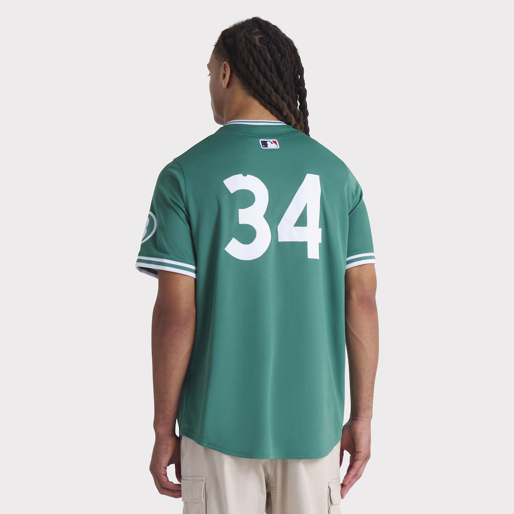 Men’s Boston Red Sox David Ortiz Nike Green 2025 Jersey NYC Jackets