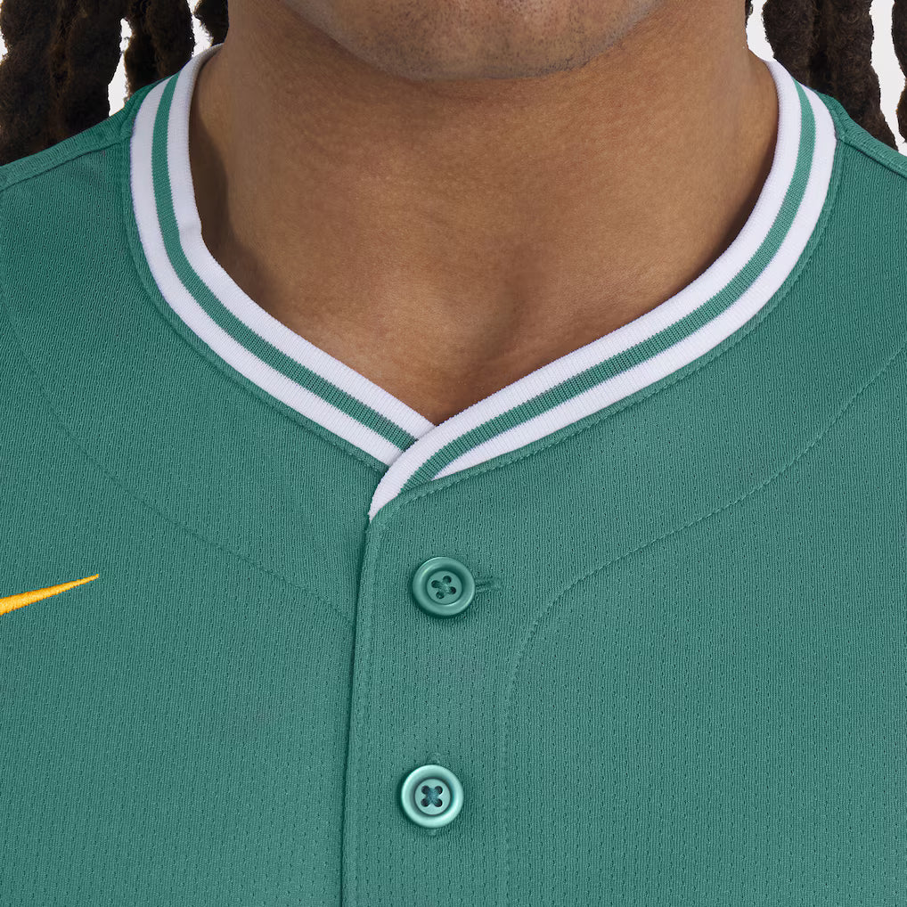 Men’s Boston Red Sox David Ortiz Nike Green 2025 Jersey NYC Jackets