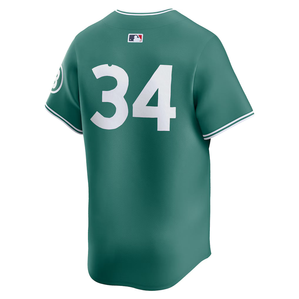 Men’s Boston Red Sox David Ortiz Nike Green 2025 Jersey NYC Jackets