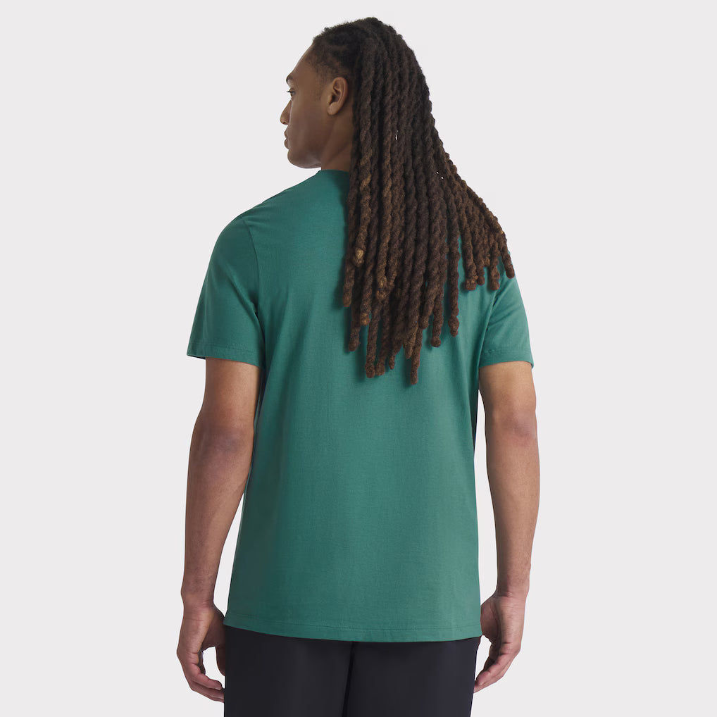 Men’s Boston Red Sox Nike Green 2025 T-Shirt NYC Jackets