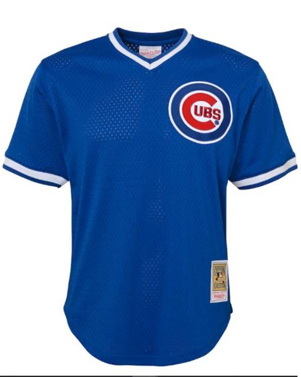 Ryne Sandberg Jersey NYC Jackets